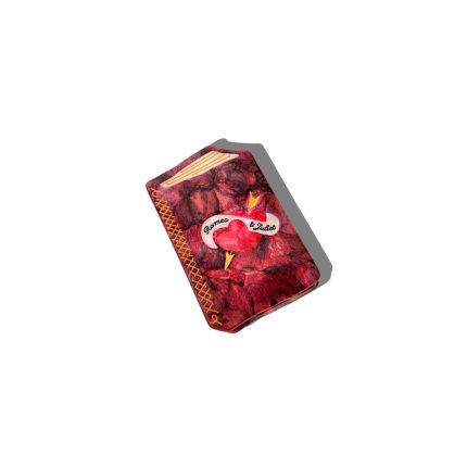 Hand-Painted Mini Romeo & Juliet Book Claw Hair Clip
