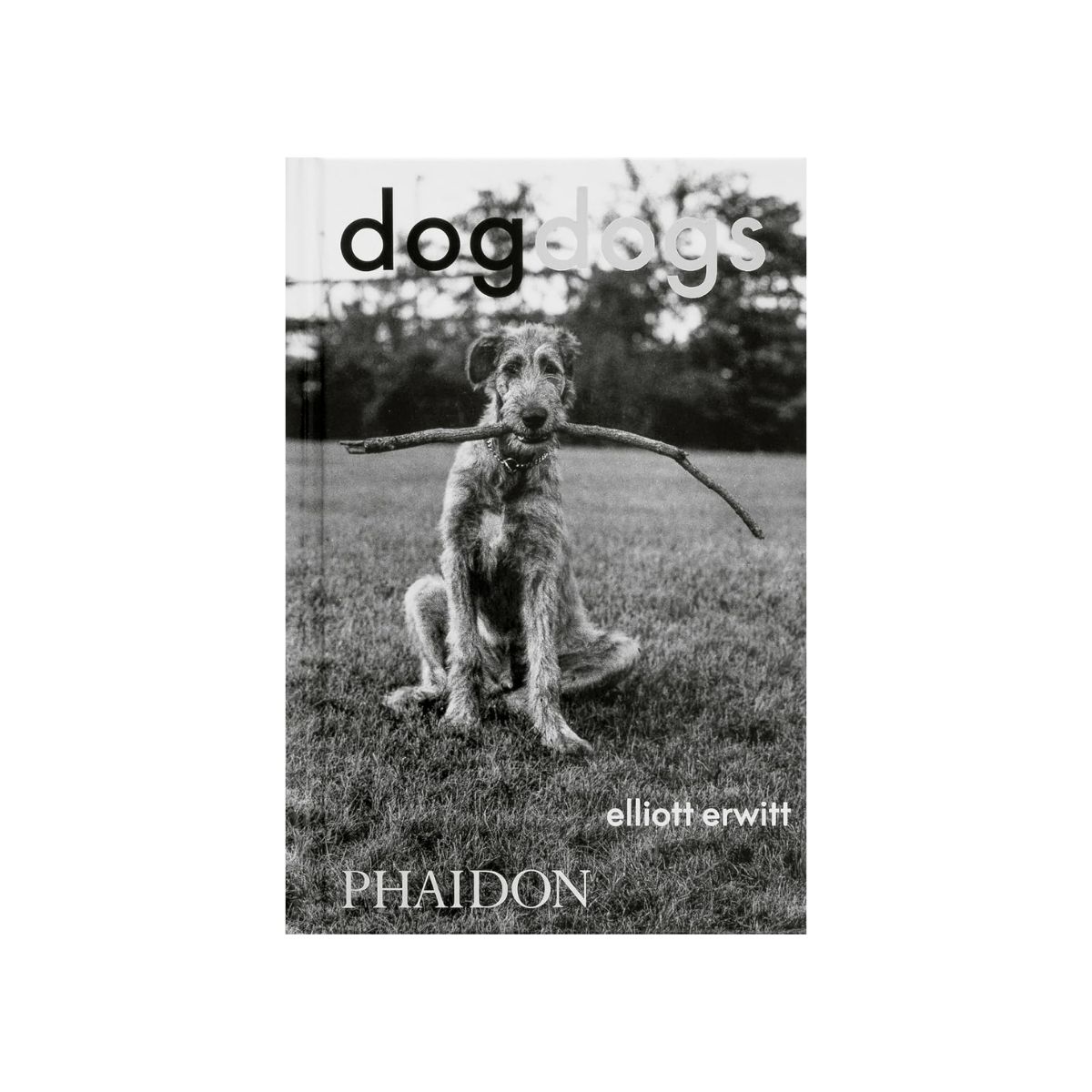 289 DogDogs - Image 1