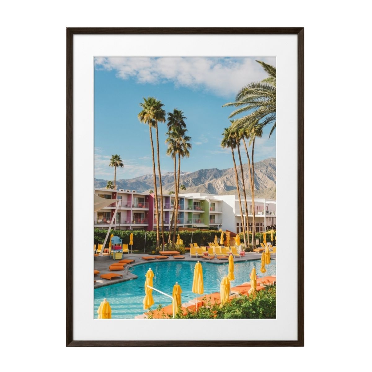 112 Palm Springs Saguaro, 70x100 - Image 1