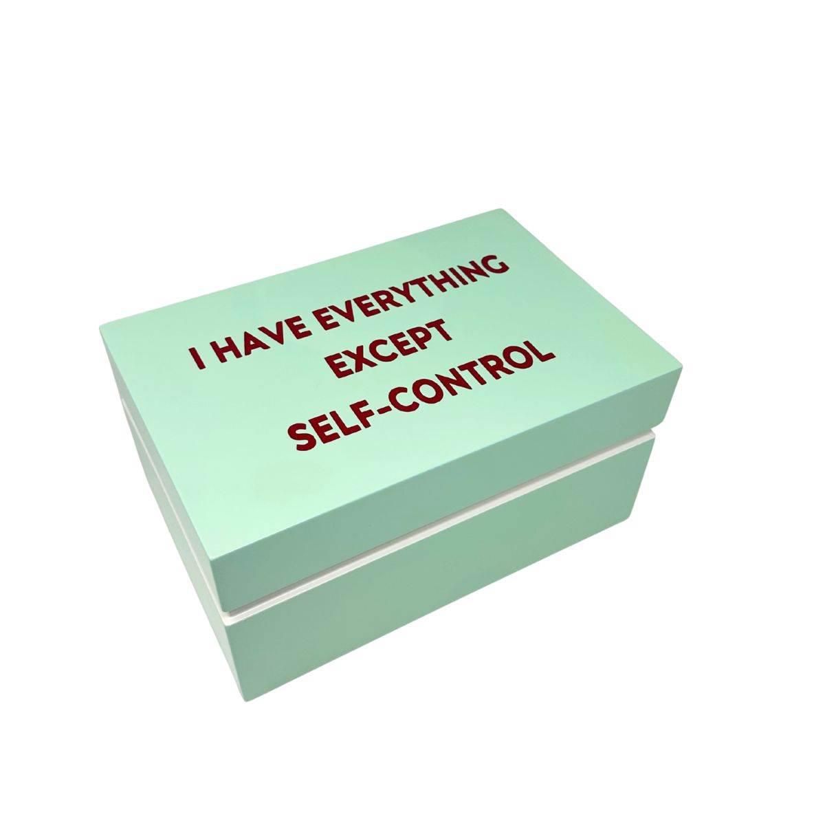 167 I Have Everything Expect Self Control Jade - Lacquer Box - Image 1